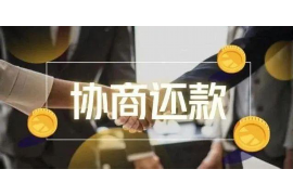 馆陶要债公司